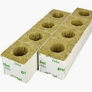 Rockwool Cubes - 77 Tray - GB Hydro